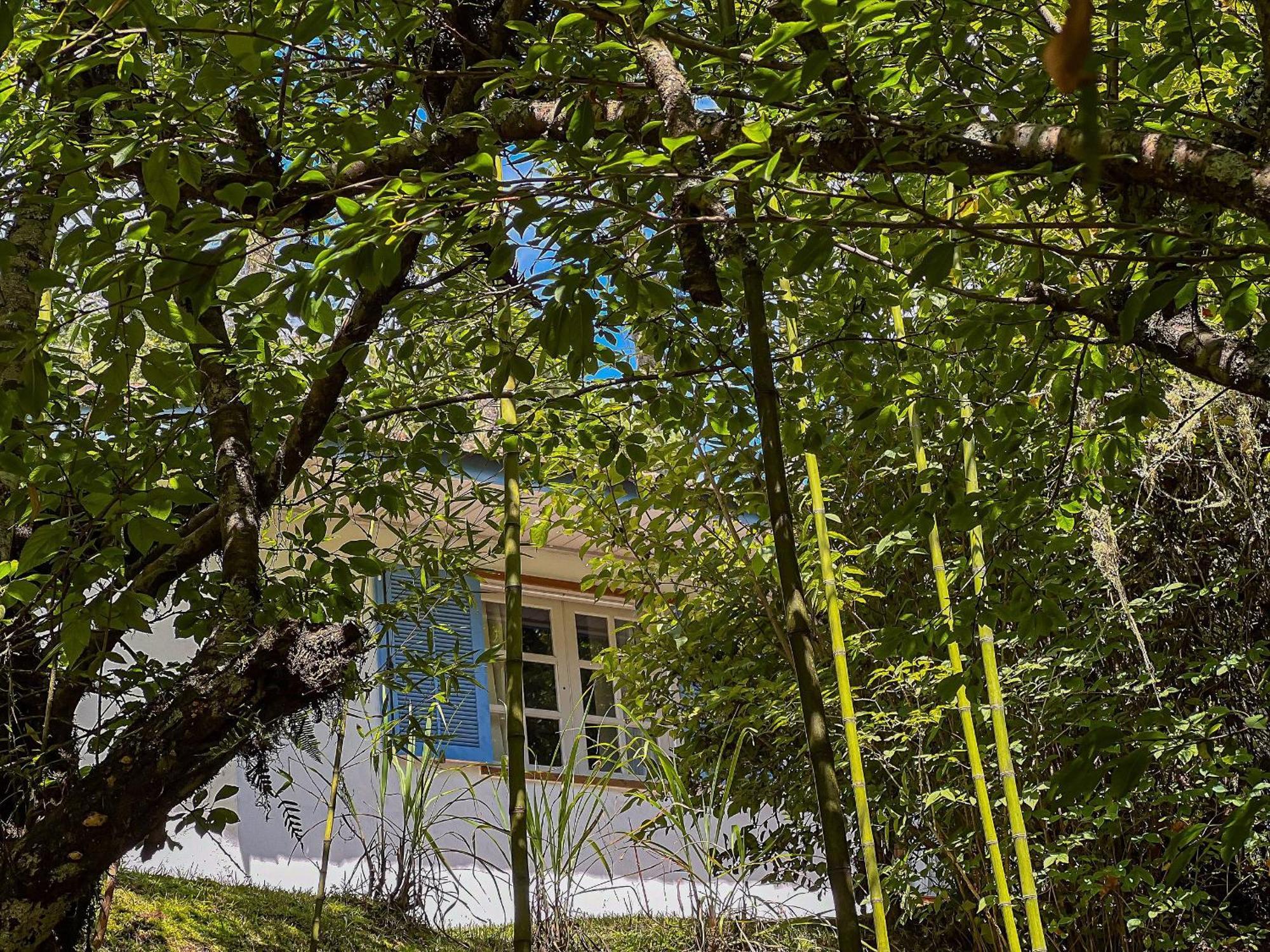 Chale Regiao Turistica - Conforto Na Natureza Campos do Jordão Exterior foto